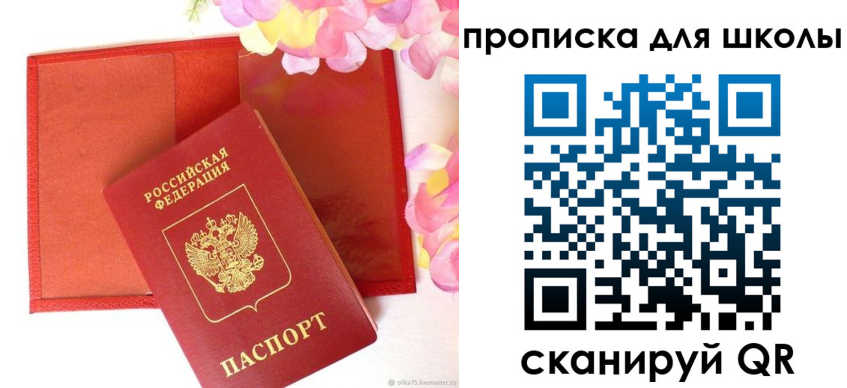 временная регистрация для всех в Гае